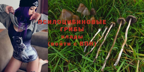 ALPHA-PVP Корсаков