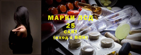 стаф Коряжма