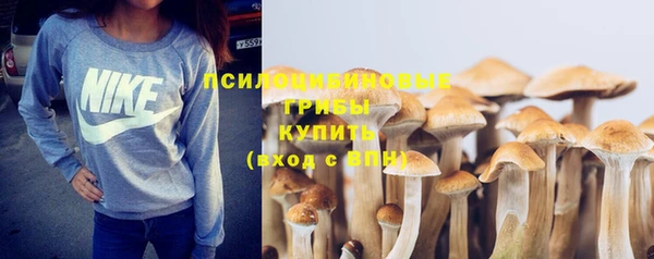 стаф Коряжма