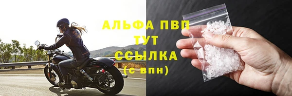 стаф Коряжма