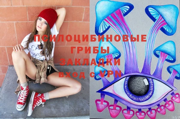 стаф Коряжма