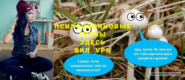 стаф Коряжма