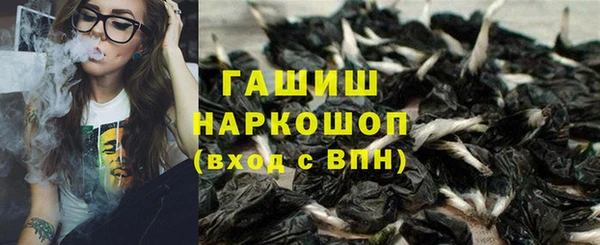 стаф Коряжма