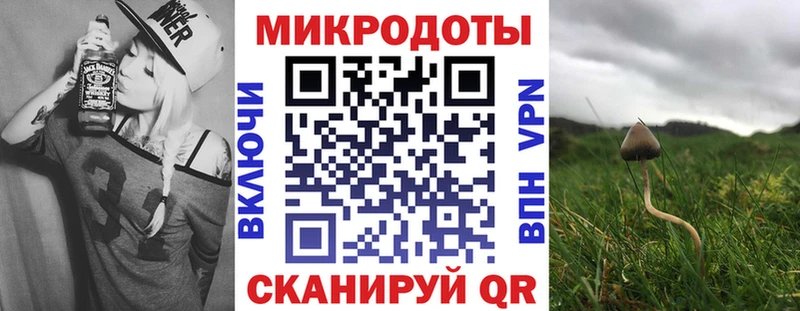 Галлюциногенные грибы Cubensis  маркетплейс официальный сайт  Майкоп  где купить  