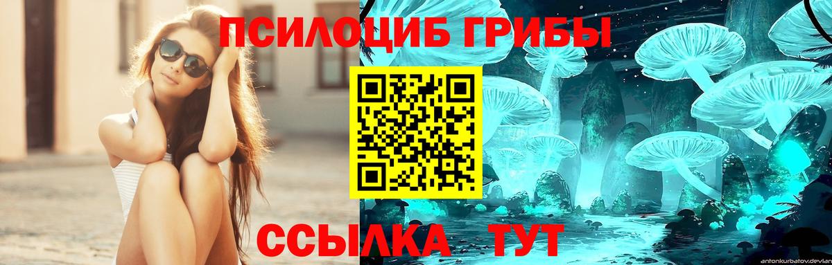 Псилоцибиновые грибы мицелий  Галлюциногенные грибы мицелий  Майкоп  Вход с VPN 